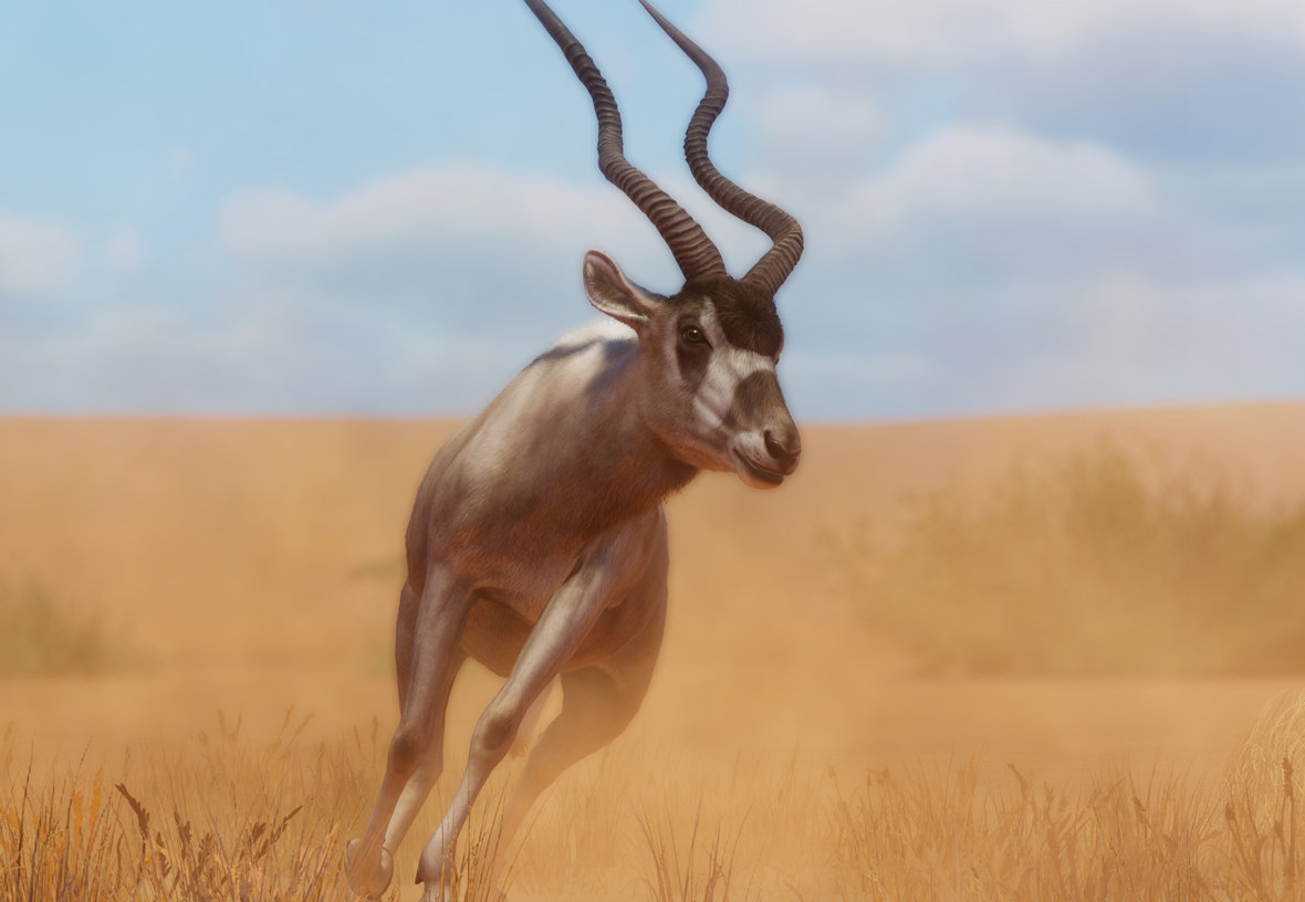 Tooltip Image 1