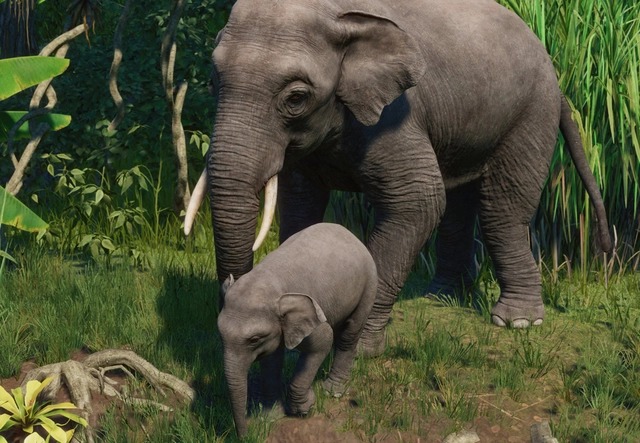 Tooltip Image 1