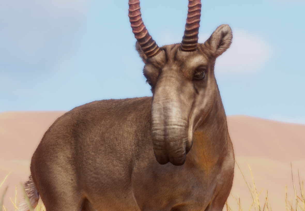 Tooltip Image 1